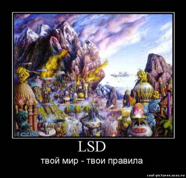 Мир LSD