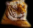 Тигр в короне