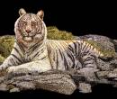 Анимация с белым тигром