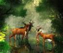 Животные в лесу под дождем