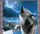 Картинка воющий волк
