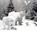 Животные на снегу