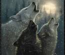 Фото воющих волков