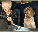 Бабушка с собакой за рулем
