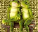 Влюбленные жабы