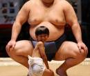 Фото прикол борцы сумо