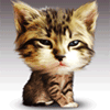 Анимация кот терминатор