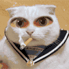 Анимированный кот курит