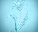 Цветок из воды