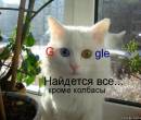 Кошка от Google