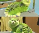 Зеленый кот-дракон