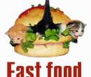 Fast food - Котята
