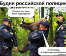 Будни российской полиции