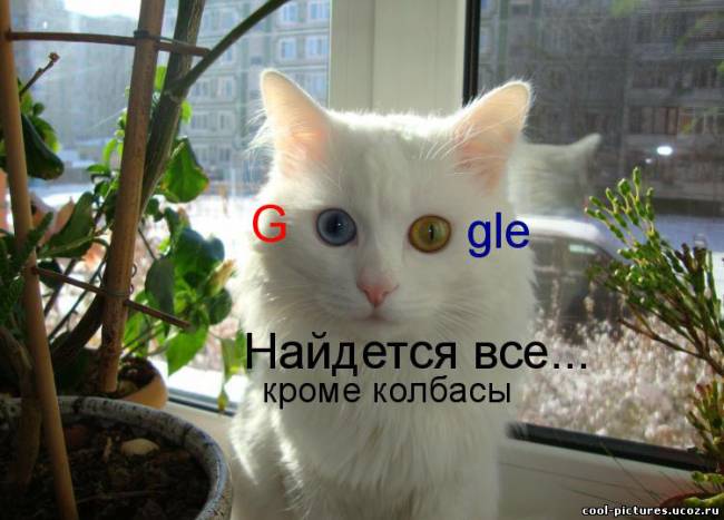 Кошка от Google