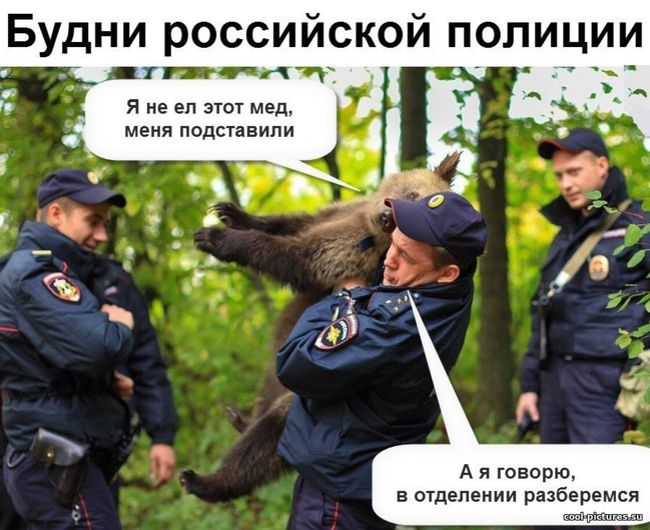 Будни российской полиции