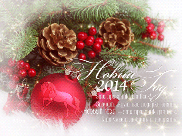 Новогоднее поздравление 2014