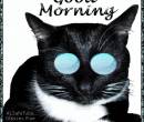 Утренний кот