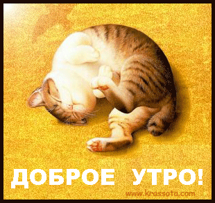 Милое утро