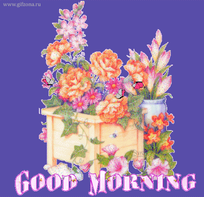Goog Morning
