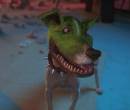 Собака из фильма Маска