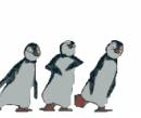 танец пингвинов