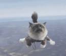 Кот с парашютом