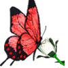 3D бабочка на цветке