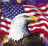 Американский флаг с орлом