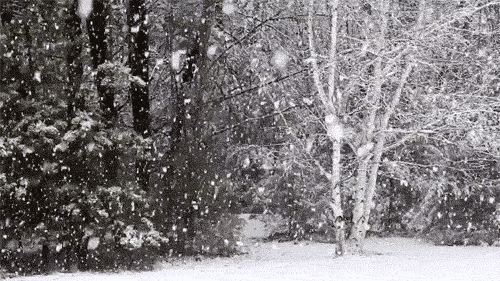 Фото падающий снег