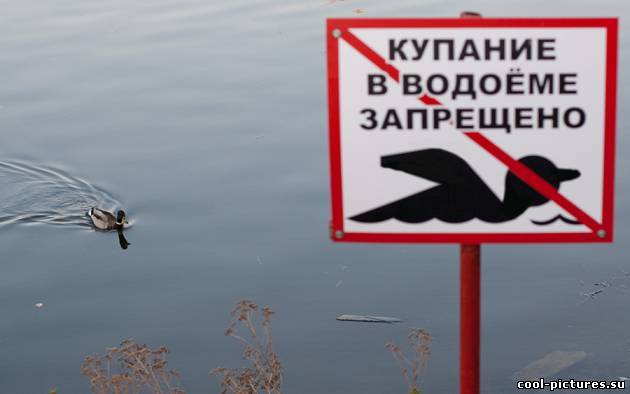 Купание в водоеме запрещено